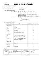 Đề cương ôn tập chương 2 môn Tin học 11 năm 2019-2020 - Trường THPT Đức Trọng