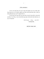 luận văn thạc sĩ chính sách nâng cao chất lượng nguồn nhân lực ngành du lịch tỉnh ninh bình 