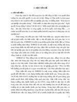 Sáng kiến kinh nghiệm: Một số biện pháp trong công tác xã hội hóa giáo dục góp phần xây dựng trường Tiểu học đạt chuẩn Quốc gia