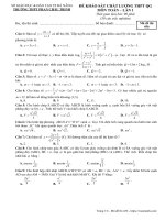 Đề thi KSCL THPT Quốc gia lần 1 môn Toán 12  năm 2018-2019 có đáp án - Trường THPT Phan Châu Trinh