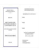 Tóm tắt luận án Tiến sĩ: Nghiên cứu hệ thống chỉ tiêu phân tích hiệu quả hoạt động của các doanh nghiệp giấy Việt Nam