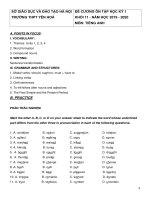 Đề cương ôn tập học kì 1 môn Tiếng Anh 11 năm 2019-2020 - Trường THPT Yên Hòa