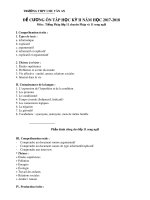 Đề cương ôn tập học kì 2 môn Tiếng Pháp 11 năm 2017-2018 - Trường THPT Chu Văn An