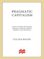 Pragmatic capitalism what every investor needs to know about money and finance 