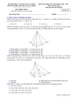 Đề thi học kì 1 môn Toán 11 năm 2018-2019 - Trường THPT chuyên Lý Tự Trọng