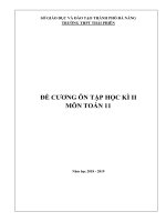 Đề cương ôn tập học kì 2 môn Toán 11 năm 2018-2019 - Trường THPT Thái Phiên