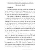 SKKN: Công tác tham mưu xây dựng cơ sở vật chất bằng hình thức xã hội hóa giáo dục ở trường mầm non Cư Pang