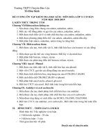 Đề cương ôn tập học kì 2 môn Hóa học 11 năm 2018-2019 - Trường THPT chuyên Bảo Lộc