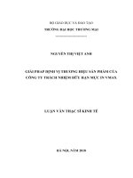 luận văn thạc sĩ giải pháp định vị thương hiệu sản phẩm của công ty trách nhiệm hữu hạn mực in vmax 