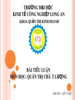 Bài tiểu luận: Phân tích sự thành công của Công ty Vinamilk trong việc sử dụng tối đa tính tiện ích và tính kinh tế