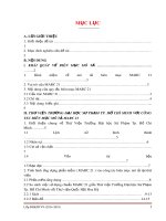 Tiểu luận Thư viện Thông tin: So sánh các biểu ghi MARC21 của Thư viện Đại học Sư phạm TP. Hồ Chí Minh với biểu ghi MARC 21 của Thư viện Quốc hội Mỹ Hoa Kỳ