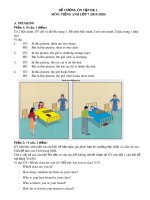 Đề cương ôn tập học kì 1 môn Tiếng Anh 7 năm 2019-2020 - Trường THCS Phan Chu Trinh