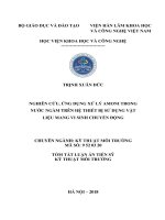 Tóm tắt Luận án Tiến sỹ Kỹ thuật môi trường: Nghiên cứu, ứng dụng xử lý amoni trong nước ngầm trên hệ thiết bị sử dụng vật liệu mang vi sinh chuyển động
