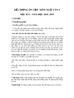 Đề cương ôn tập học kì 1 môn Ngữ văn 9 năm 2018-2019 - Trường THCS Võ Trứ