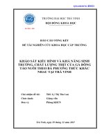 Báo cáo nghiên cứu khoa học cấp trường: Khảo sát kiểu hình và khả năng sinh trưởng, chất lượng thịt của gà Đông Tảo nuôi theo ba phương thức khác nhau tại Trà Vinh