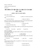 Đề cương ôn tập học kì 2 môn Vật lí 11 năm 2018-2019 - Trường THPT Phan Bội Châu