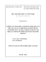 Tóm tắt Luận án Tiến sĩ Khoa học vật liệu: Nghiên cứu tổng hợp và đánh giá tính chất vật liệu xúc tác Pt và hợp kim Pt có kích thước nanô trên nền vật liệu cacbon áp dụng làm điện cực trong