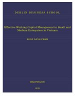 Master Thesis in Economics: Effective working capital management in small and medium enterprises in Vietnam