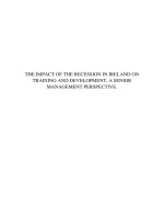 Master Thesis in Economics: The impact of the recession in ireland on training and development, a senior management perspective.