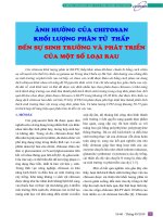 Ảnh hưởng của chitosan khối lượng phân tử thấp đến sự sinh trưởng và phát triển của một số loại rau