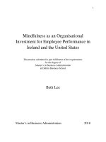 Master Thesis in Economics: Mindfulness as an Organisational Investment for Employee Performance inIreland and the United States