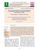 Effect of canopy management and chemical manipulation on morphological attributes of off season production in annual Moringa cv. PKM1