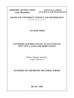 Summary of chemistry doctoral thesis: Synthesis and bioactivity evaluation of new vinca alkaloid derivatives