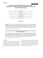 Colonial and morphological characteristics of some Aspergillus Fr.:Fr. species isolated from vineyards in Manisa and Izmir provinces (Turkey)