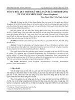 Tối ưu hóa quy trình kỹ thuật sản xuất bioethanol từ cây lúa miến ngọt (Sweet sorghum)