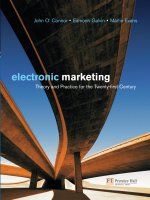 Electronic marketing 