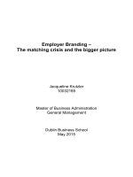 Master Thesis in Economics: Employer Branding - The matching crisis and the bigger picture