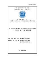 Báo cáo nghiên cứu khoa học cấp trường: Thực nghiệm nuôi cua biển, (Scylla sp) trong lồng nhỏ tại tỉnh Trà Vinh