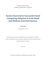 Master Thesis in Economics: Factors that lead to successful cloud computing adoption in Irish small and medium-sized enterprises