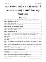 đề cương ôn thi môn phân tích kế toán doanh nghiệp thương mại 