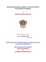 Master of Business Administration: Financial Performance Analysis: A study on Selected  Private Banks in Ethiopia