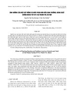 Ảnh hưởng của mật độ trồng và mức phân bón đến sinh trưởng, năng suất giống khoai tây KT4 tại Thanh Trì, Hà Nội