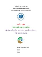 Tiểu luận: Phân tích báo cáo tài chính Công ty thế kỉ 21 (MCK:C21)