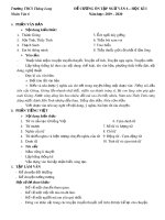 Đề cương ôn tập học kì 1 môn Ngữ văn 6 năm 2019-2020 - Trường THCS Thăng Long