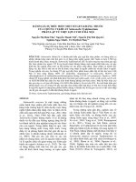 Đánh giá sự biểu hiện một số gen kháng thuốc của chủng vi khuẩn Salmonella typhimurium phân lập từ thịt lợn tươi ở Hà Nội