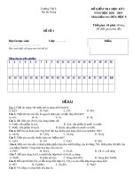 Đề kiểm tra học kì 1 môn Hóa học 9 năm 2018-2019 - Trường THCS Hai Bà Trưng