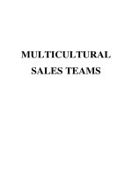 Master Thesis in Economics: How to manage the multicultural sales teams