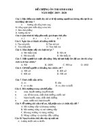 Đề cương ôn tập học kì 1 môn Sinh học 8 năm 2019-2020 - Trường THCS Chánh Phú Hòa