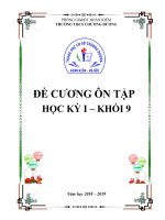 Đề cương ôn tập học kì 1 môn Lịch sử 9 năm 2018-2019 - Trường THCS Chương Dương