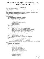 Đề cương ôn tập học kì 1 môn Tiếng Anh 7 năm 2018-2019 - Trường THCS&THPT Võ Nguyên Giáp