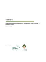 Diagnoses and regulatory assessment of small and micro forest enterprises in the Mekong region