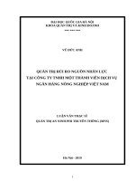 Quản trị rủi ro nguồn nhân lực tại công ty TNHH một thành viên dịch vụ ngân hàng nông nghiệp việt nam 