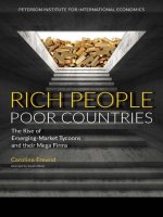Rich people poor countries the rise of emerging market tycoons and their mega firms 