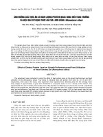 Ảnh hưởng của thức ăn có hàm lượng protein khác nhau đến tăng trưởng và hiệu quả sử dụng thức ăn của lươn đồng (Monopterus albus)