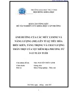 Báo cáo nghiên cứu khoa học cấp trường: Ảnh hưởng của các mức lysine và năng lượng (ME) lên tỉ lệ tiêu hóa biểu kiến, tăng trọng và chất lượng thân thịt của vịt Xiêm địa phương từ 5-12 tuần