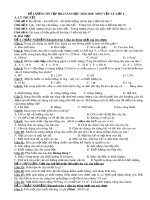 Đề cương ôn tập học kì 1 môn Vật lí 6 năm 2019-2020 - Trường THCS Phan Chu Trinh